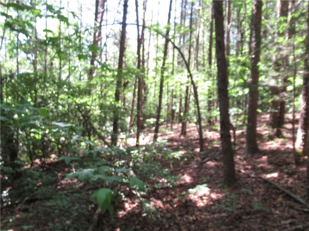 221 River Bliff Road, Cleveland, South Carolina image 20