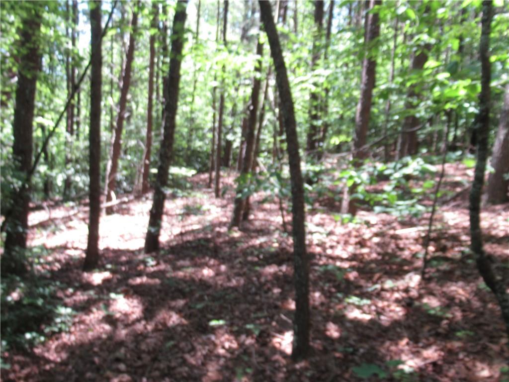 221 River Bliff Road, Cleveland, South Carolina image 21