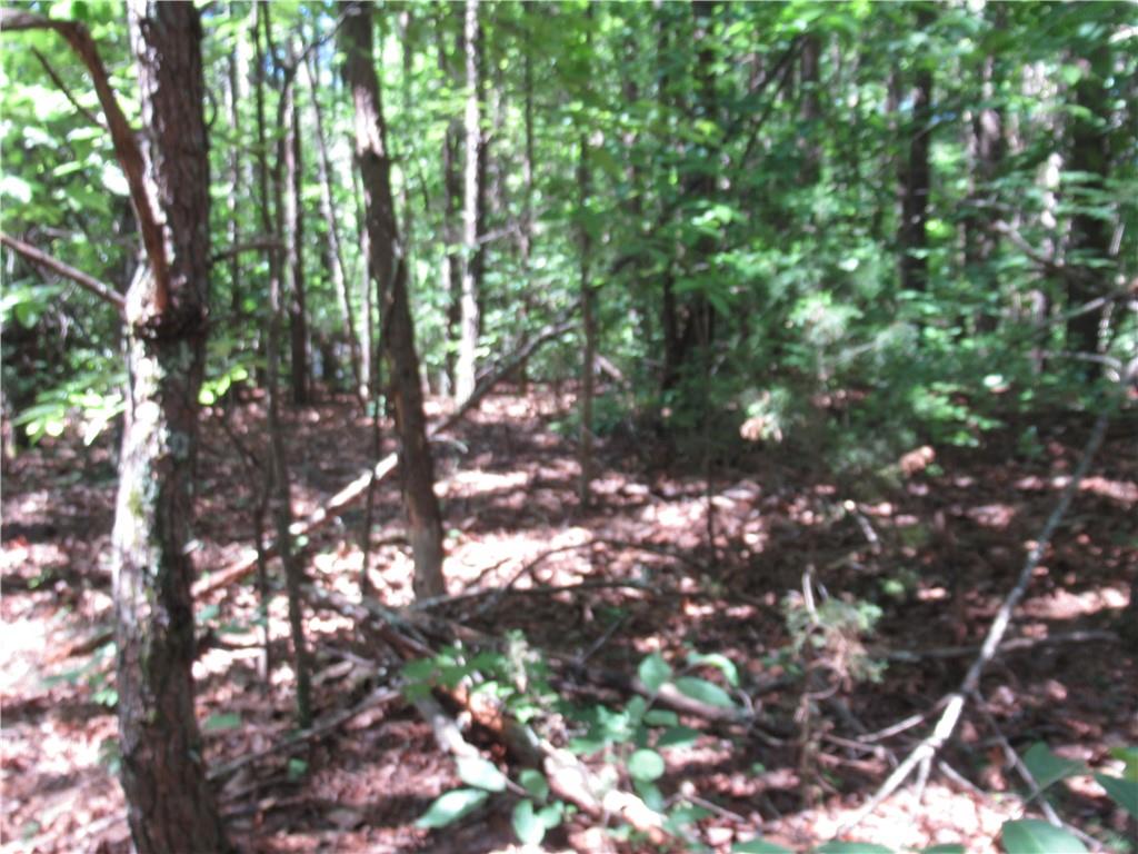 221 River Bliff Road, Cleveland, South Carolina image 24
