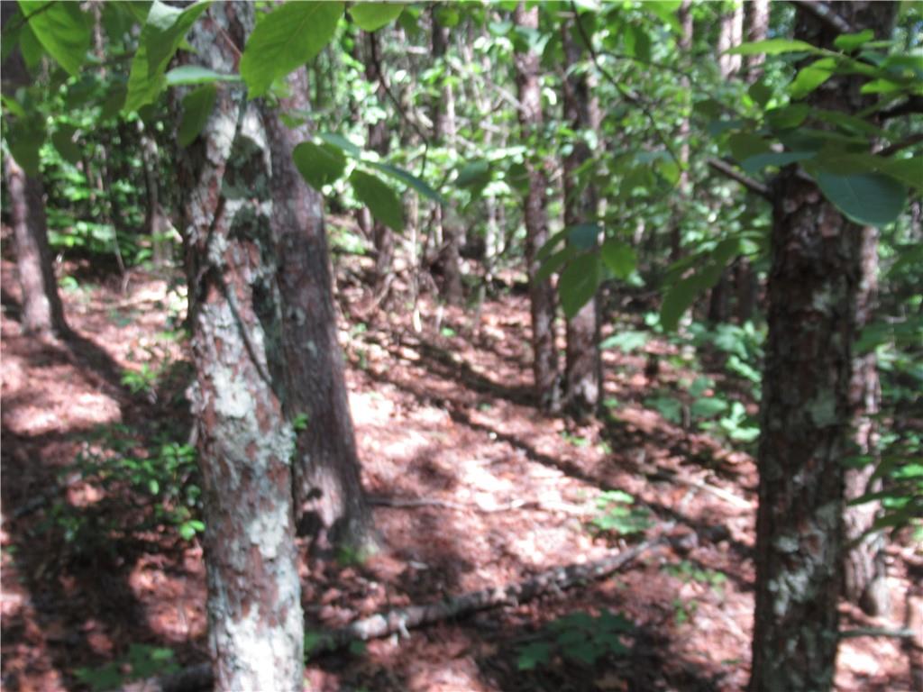 221 River Bliff Road, Cleveland, South Carolina image 25