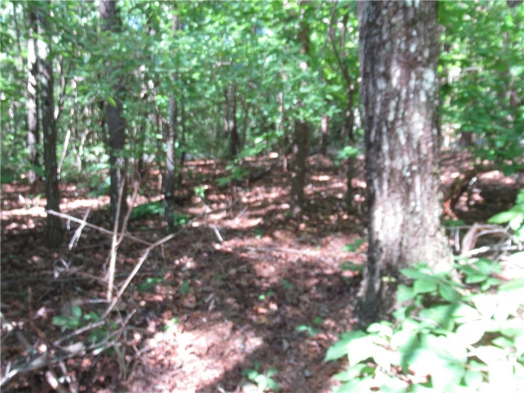 221 River Bliff Road, Cleveland, South Carolina image 26
