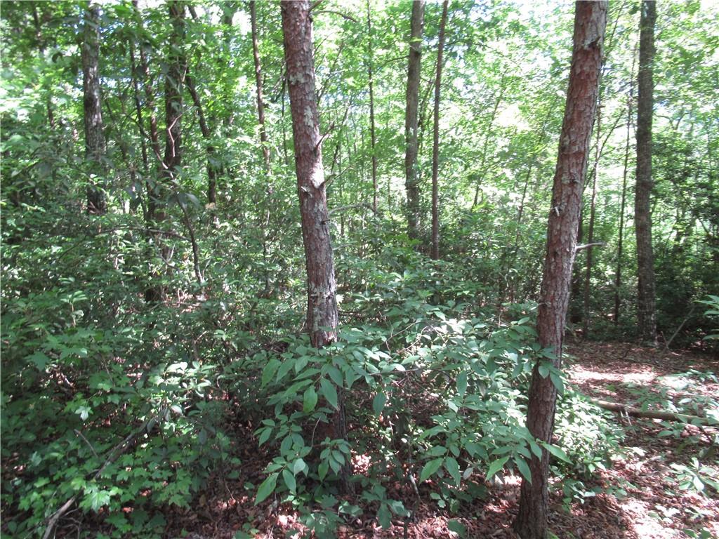 221 River Bliff Road, Cleveland, South Carolina image 11