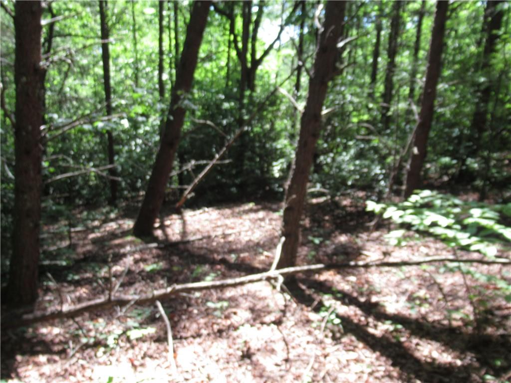 221 River Bliff Road, Cleveland, South Carolina image 22