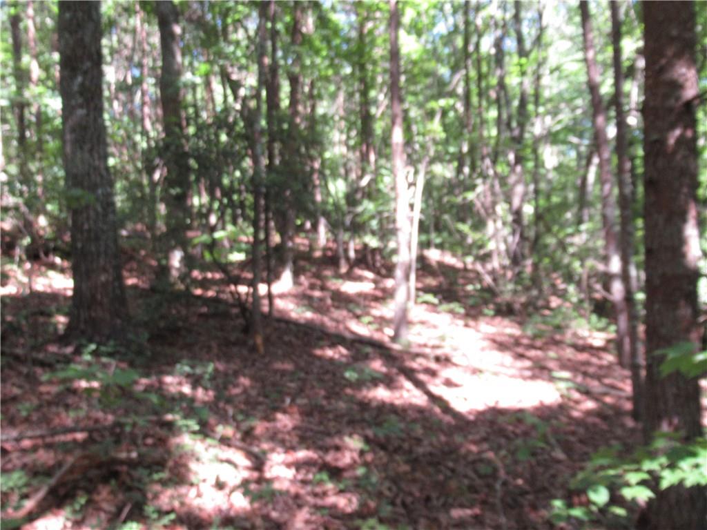 221 River Bliff Road, Cleveland, South Carolina image 16
