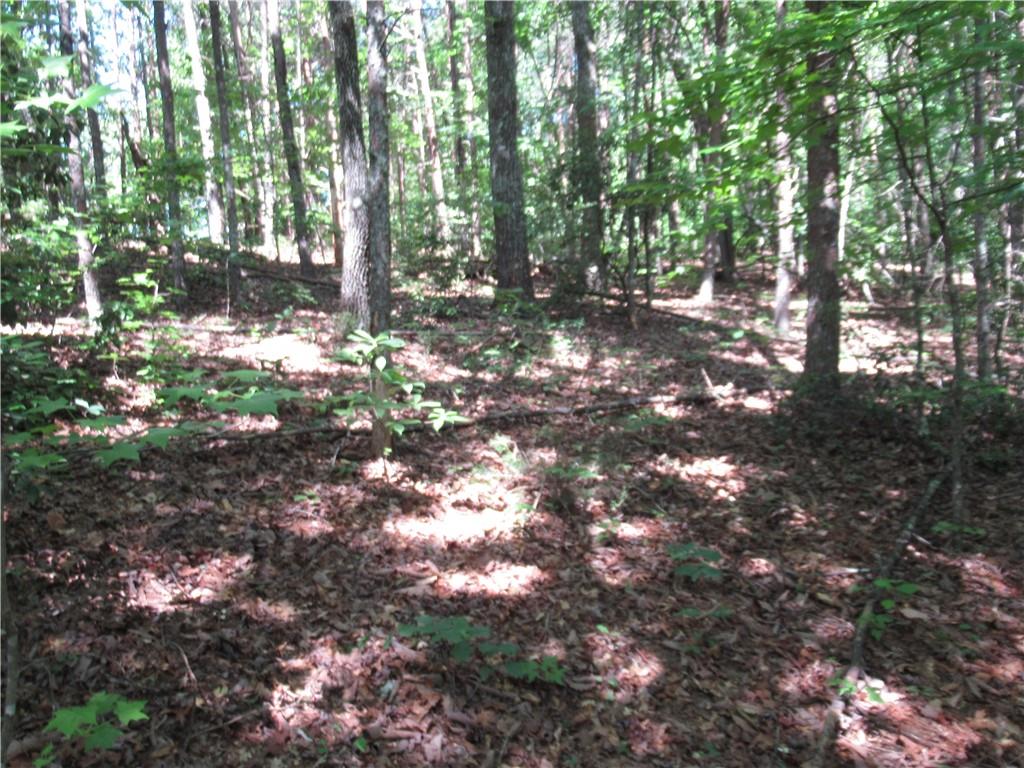 221 River Bliff Road, Cleveland, South Carolina image 14