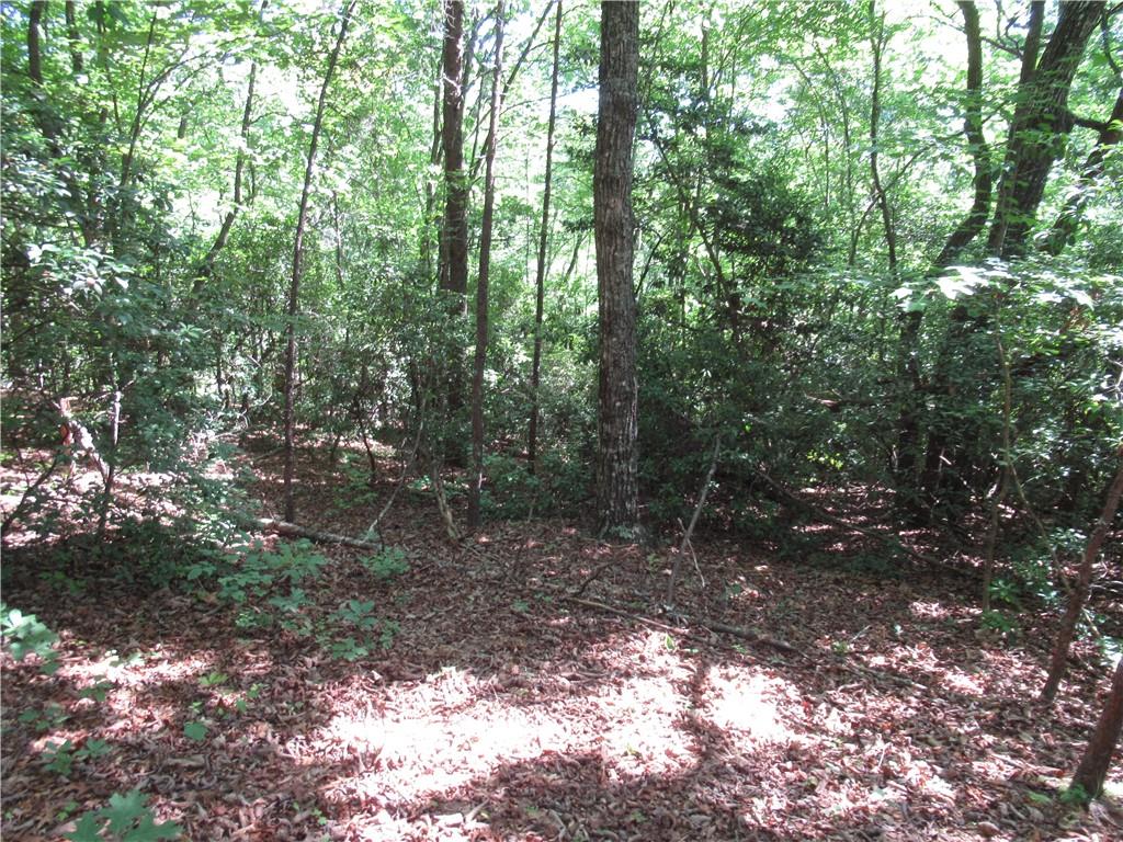 221 River Bliff Road, Cleveland, South Carolina image 13