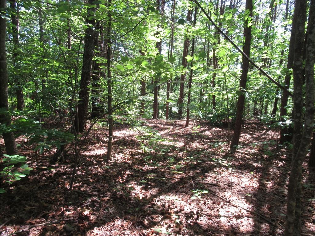 221 River Bliff Road, Cleveland, South Carolina image 1