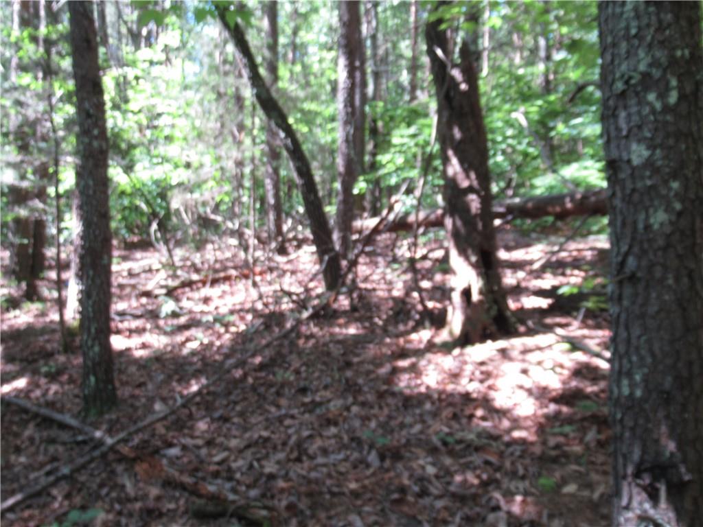 221 River Bliff Road, Cleveland, South Carolina image 19