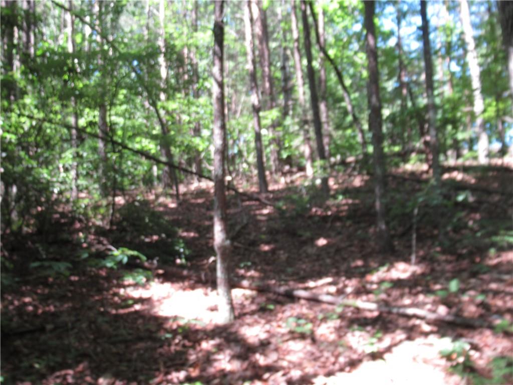 221 River Bliff Road, Cleveland, South Carolina image 17