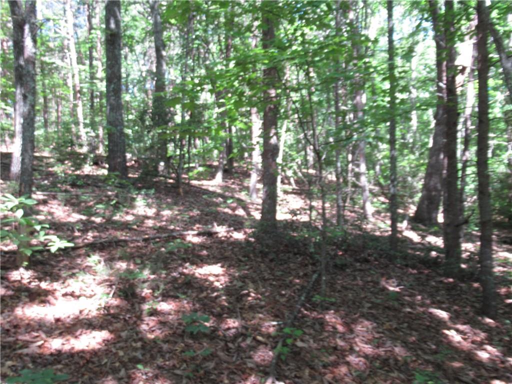 221 River Bliff Road, Cleveland, South Carolina image 15