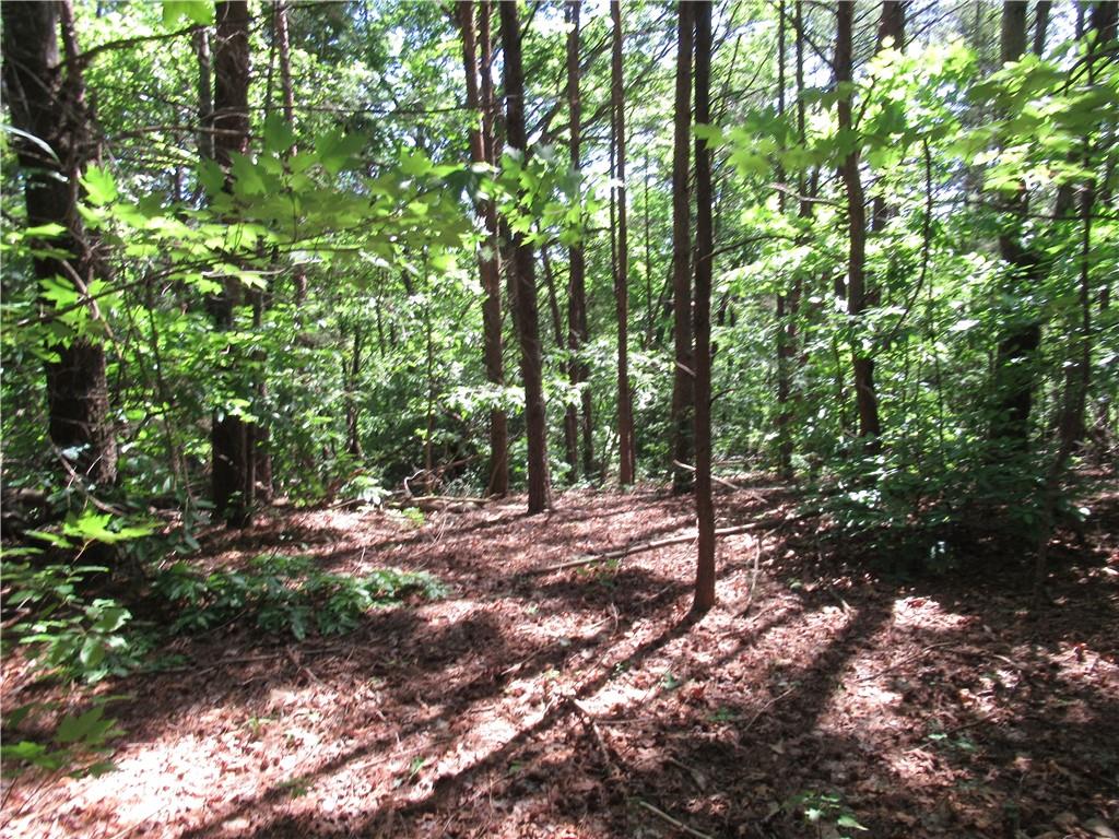 221 River Bliff Road, Cleveland, South Carolina image 3