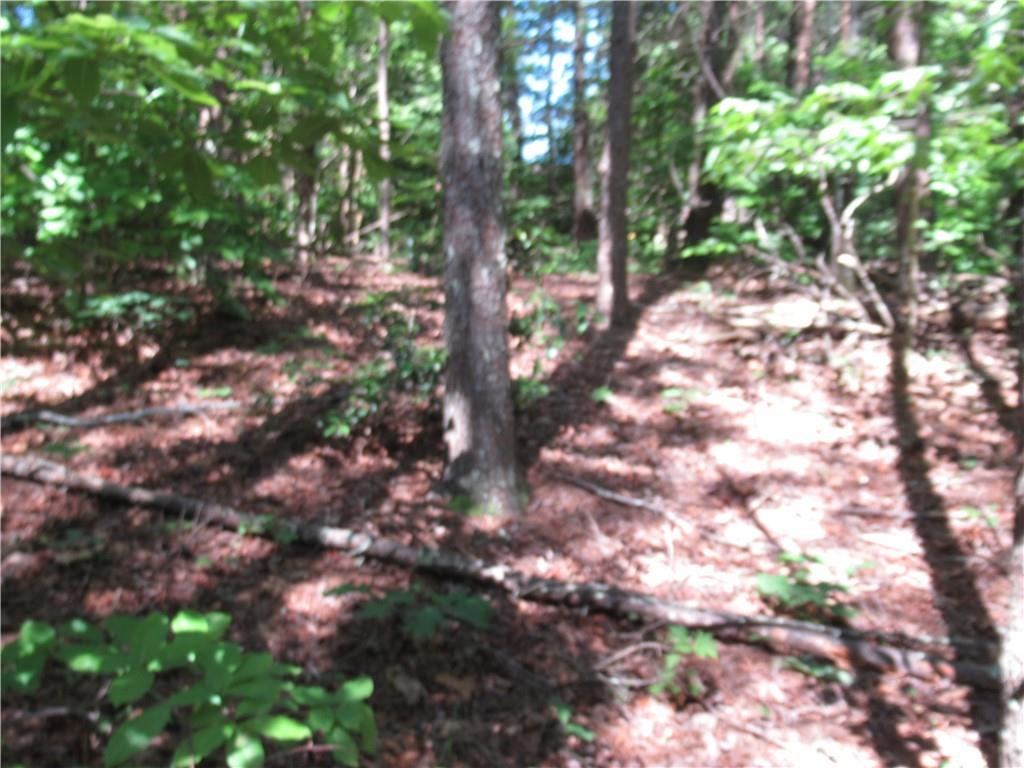 221 River Bliff Road, Cleveland, South Carolina image 23