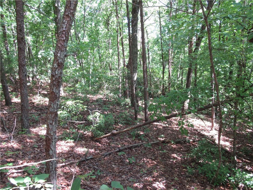 221 River Bliff Road, Cleveland, South Carolina image 8