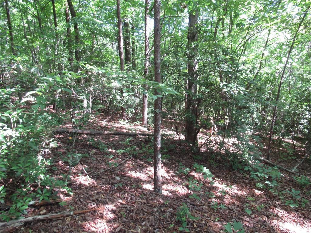 221 River Bliff Road, Cleveland, South Carolina image 12
