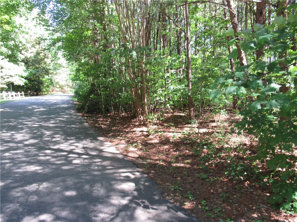 221 River Bliff Road, Cleveland, South Carolina image 28