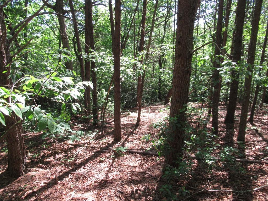 221 River Bliff Road, Cleveland, South Carolina image 7