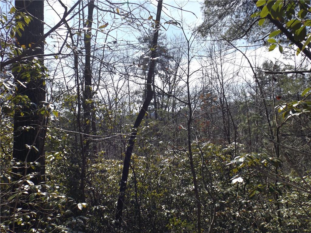 130 Fairway Woods, Pickens, South Carolina image 6