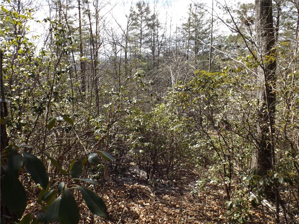 130 Fairway Woods, Pickens, South Carolina image 9