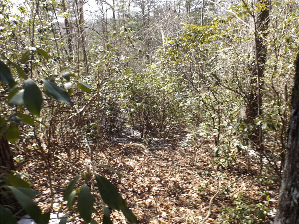 130 Fairway Woods, Pickens, South Carolina image 8