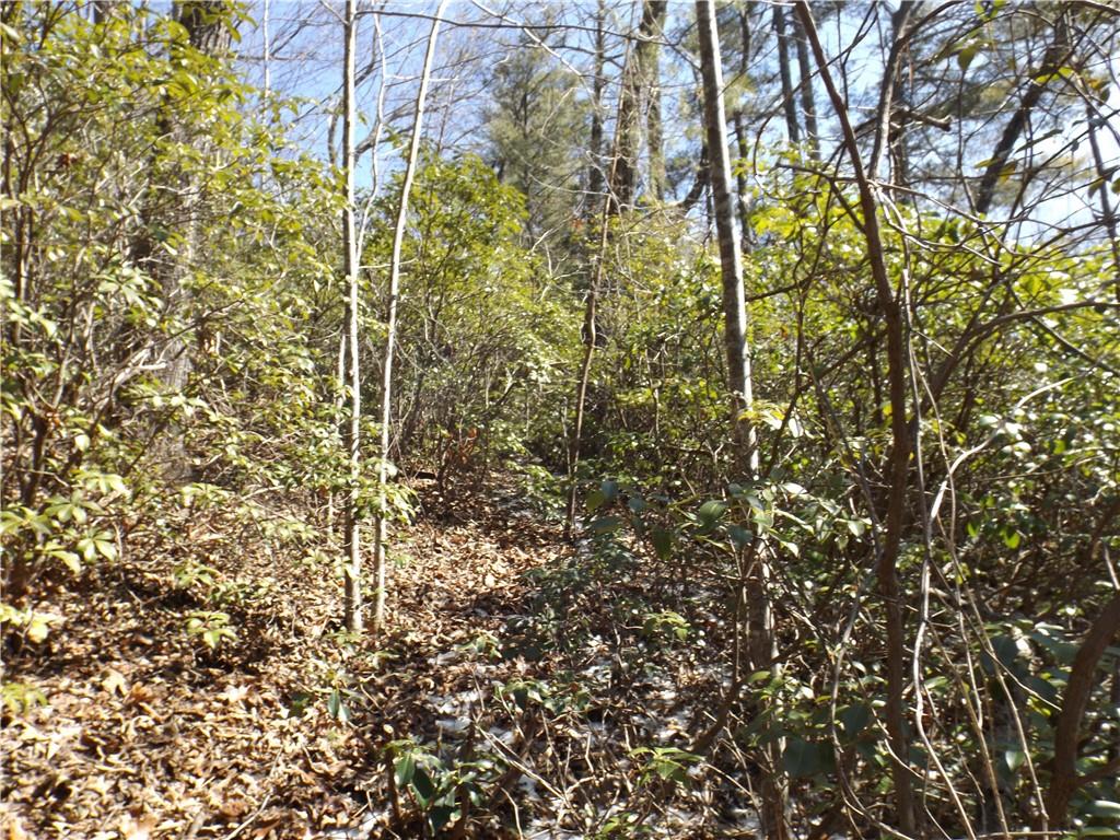 130 Fairway Woods, Pickens, South Carolina image 7