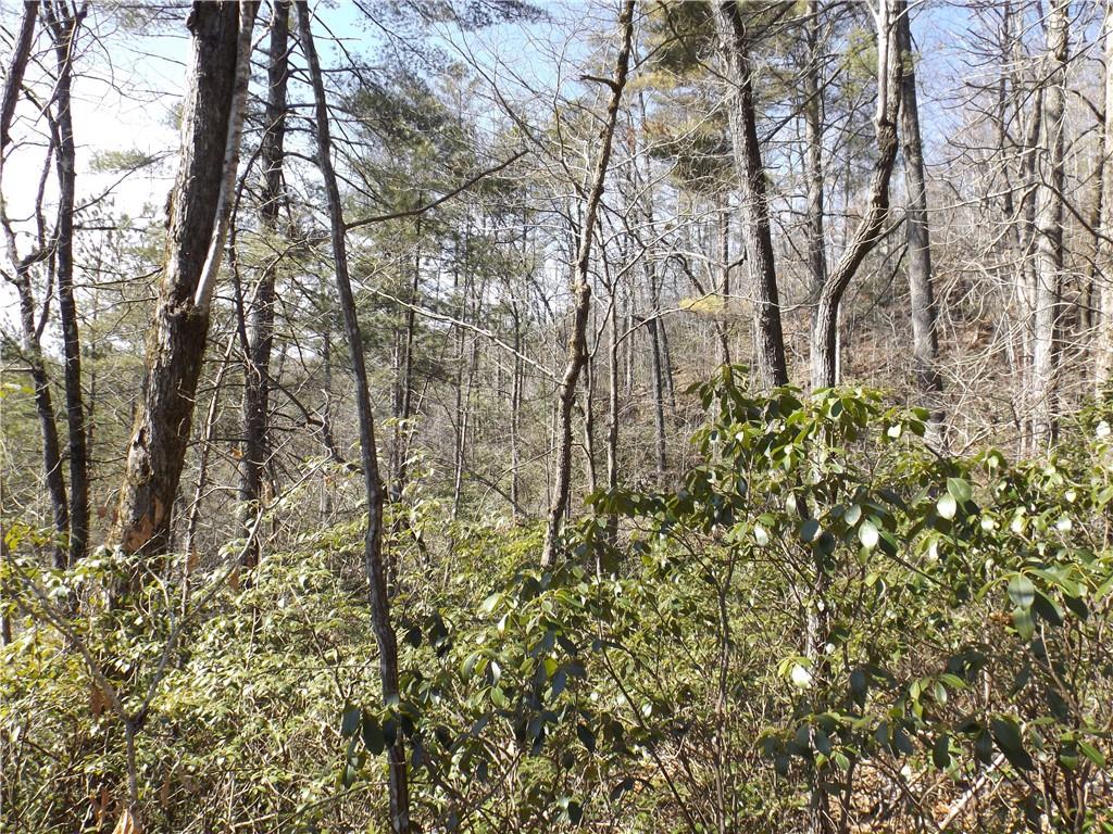 130 Fairway Woods, Pickens, South Carolina image 4