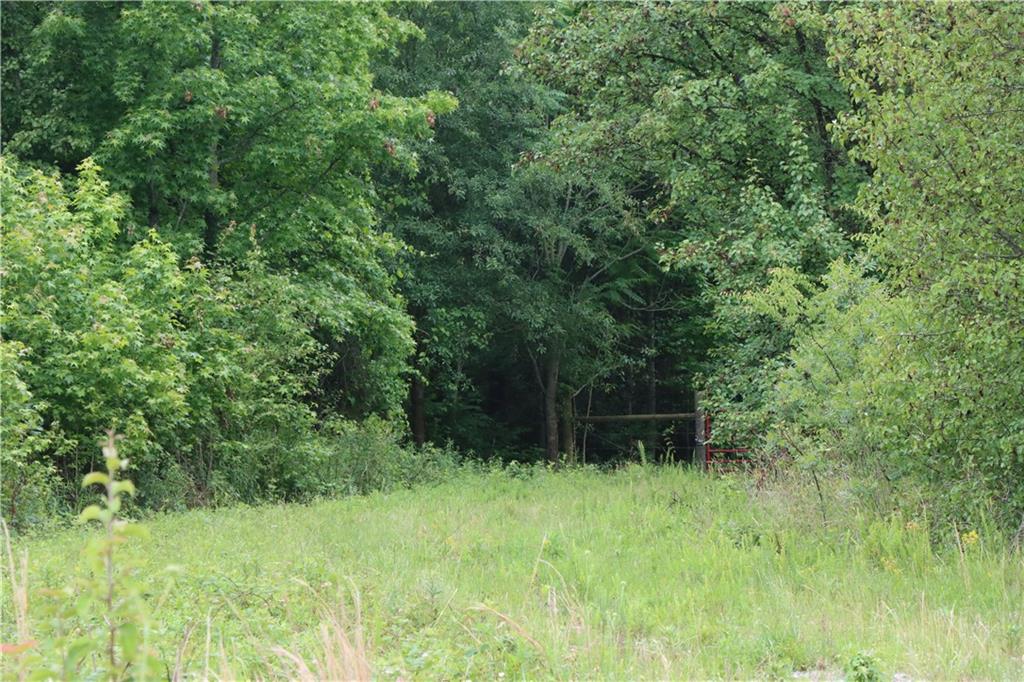 00 Young Road, Starr, South Carolina image 3