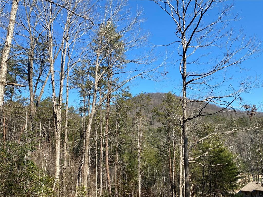 100 Fireside Lane, Pickens, South Carolina image 14