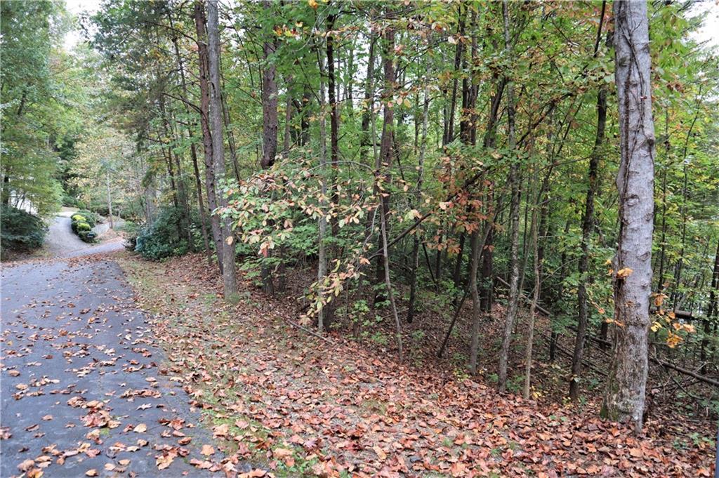 100 Fireside Lane, Pickens, South Carolina image 6