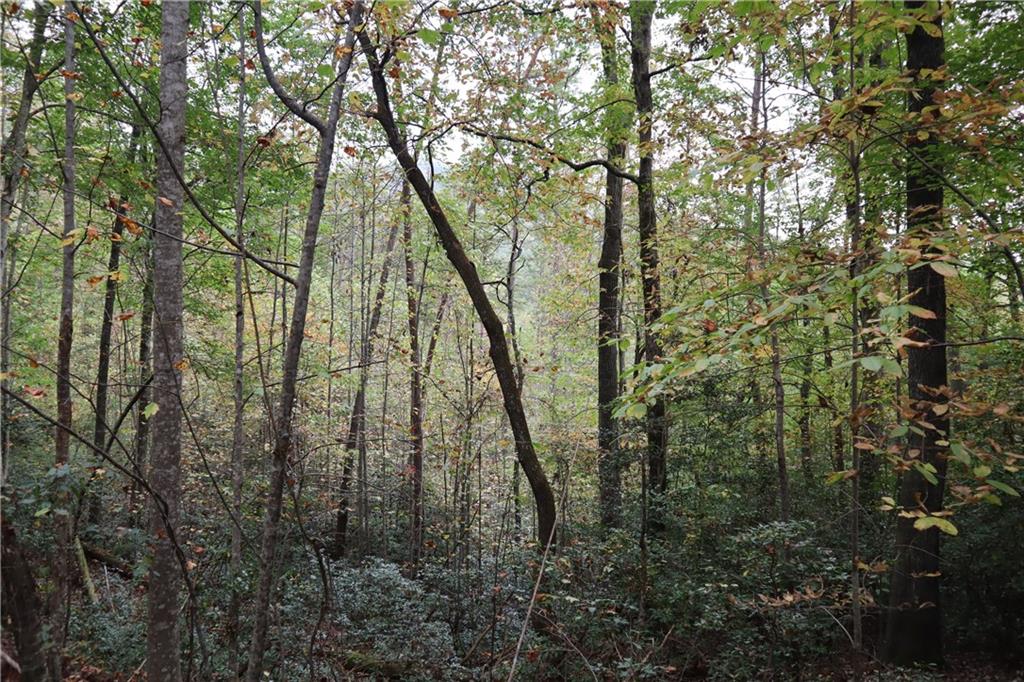 100 Fireside Lane, Pickens, South Carolina image 11