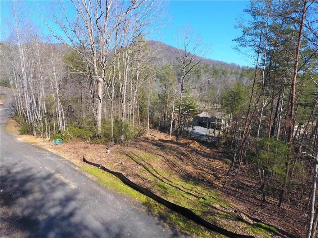 100 Fireside Lane, Pickens, South Carolina image 2