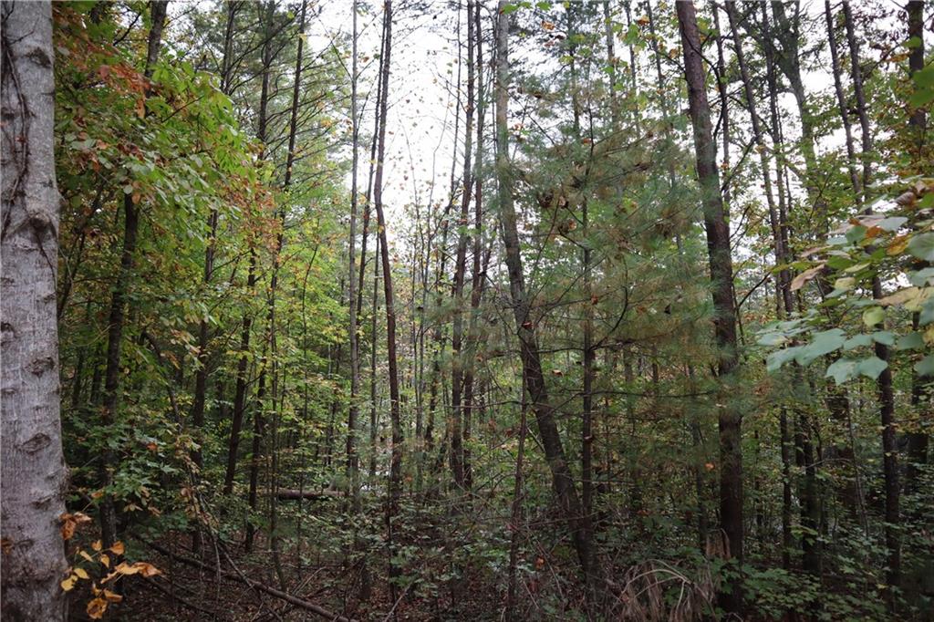 100 Fireside Lane, Pickens, South Carolina image 7