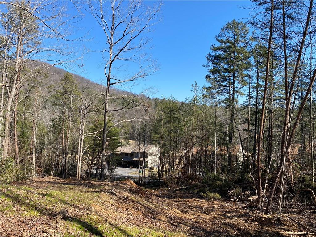 100 Fireside Lane, Pickens, South Carolina image 13