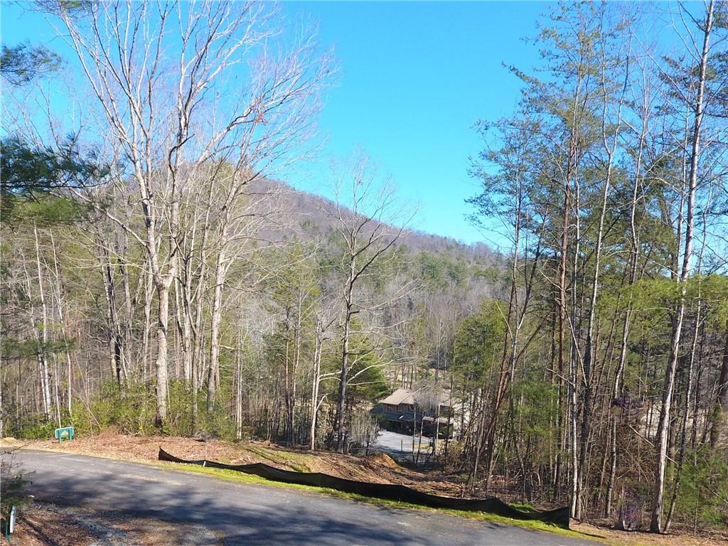100 Fireside Lane, Pickens, South Carolina image 1