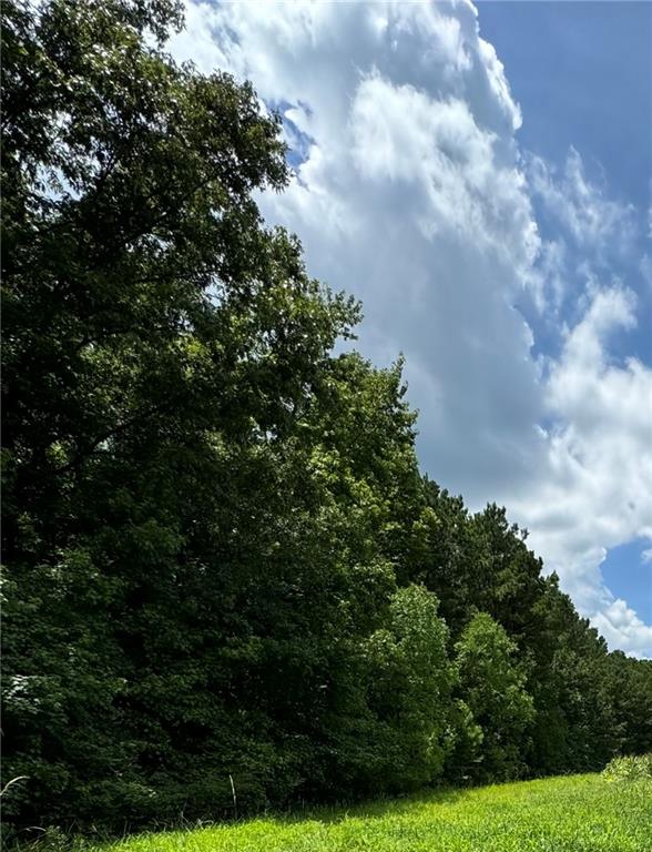 00 Hill Branch Road, Ridgeville, South Carolina image 1