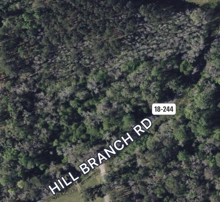 00 Hill Branch Road, Ridgeville, South Carolina image 2