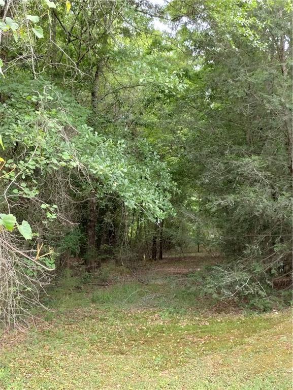 191 Juniper Lane, Pickens, South Carolina image 2