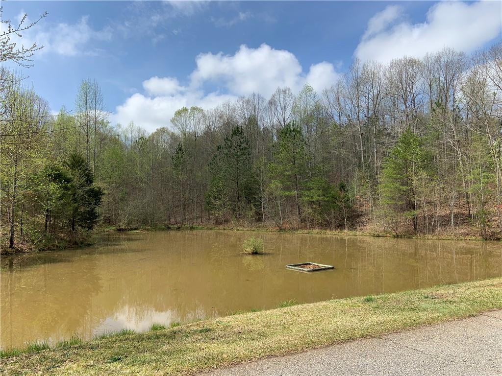 Lot 12 Summer Walk Court, Seneca, South Carolina image 7