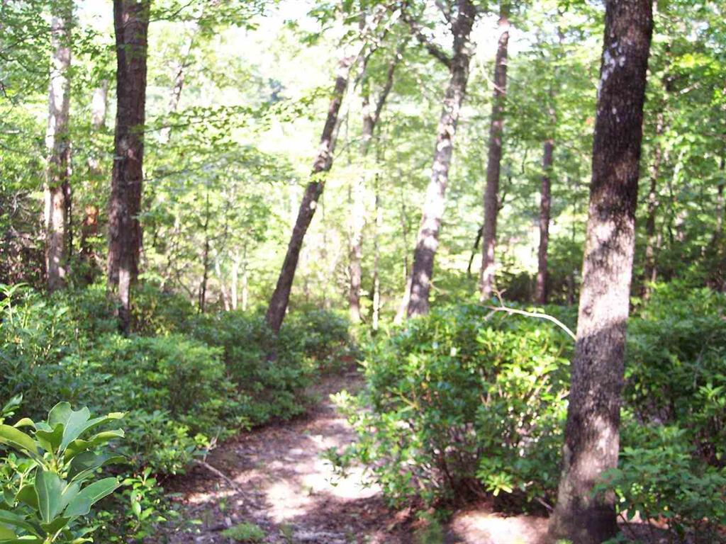8 Woods Pond Crt Woods Pond Court, Cleveland, South Carolina image 5