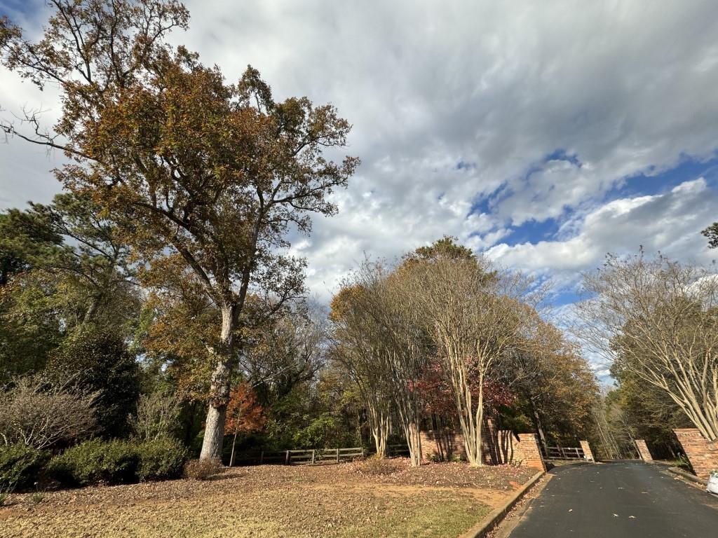 Commonwealth Drive, Ninety Six, South Carolina image 8