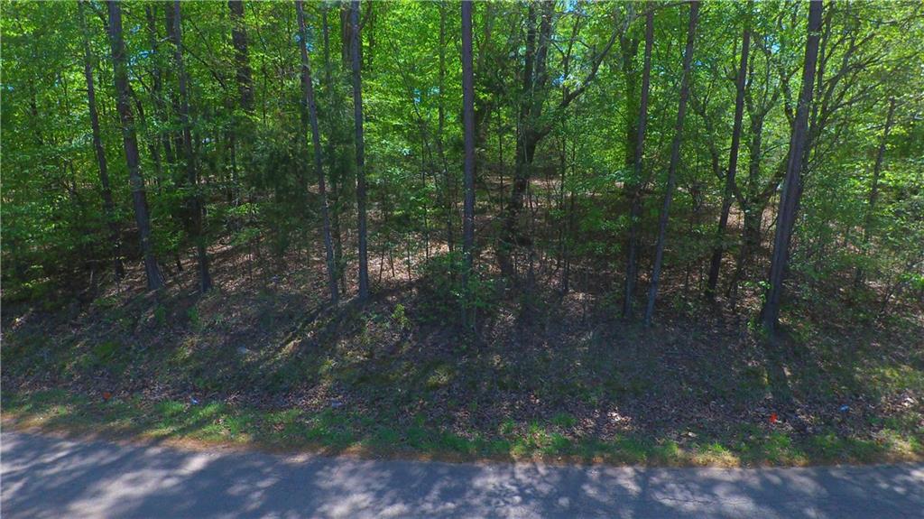 00 Lake Secession Road, Anderson, South Carolina image 4