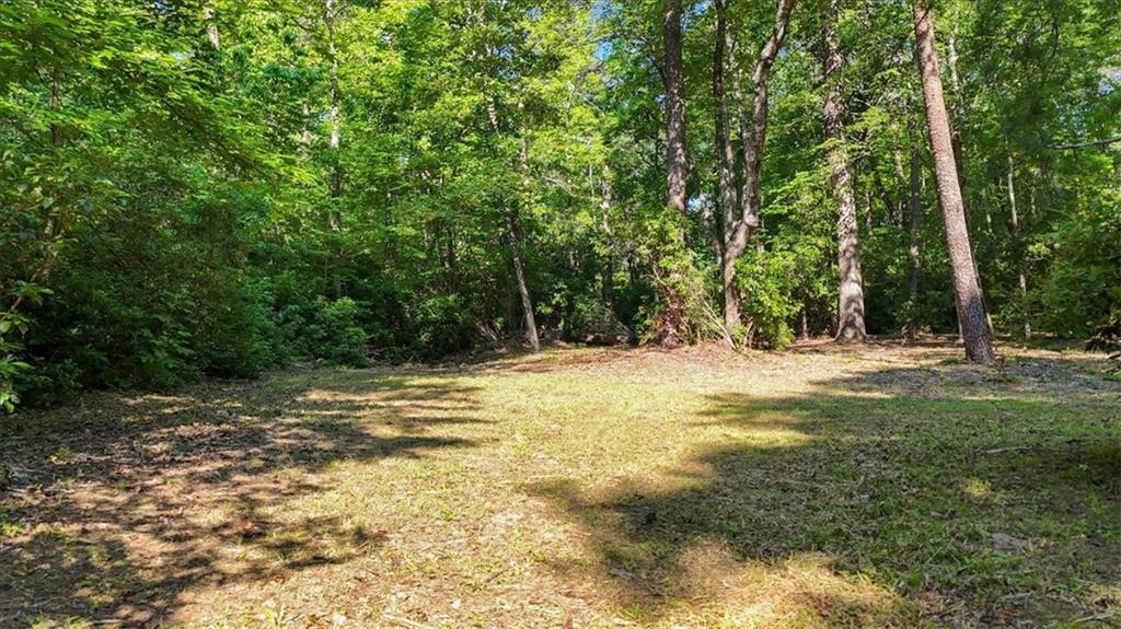 Land, Travelers Rest, South Carolina image 5