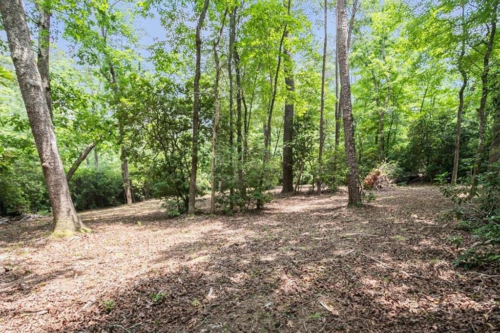 Land, Travelers Rest, South Carolina image 8