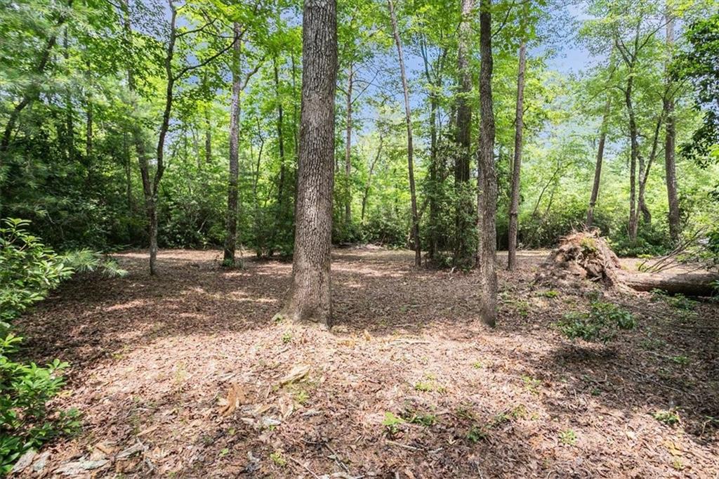 Land, Travelers Rest, South Carolina image 9