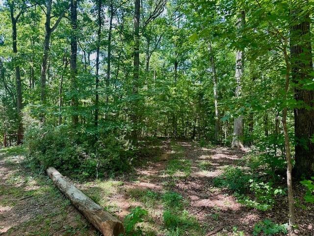 531 Fants Grove Road, Anderson, South Carolina image 2