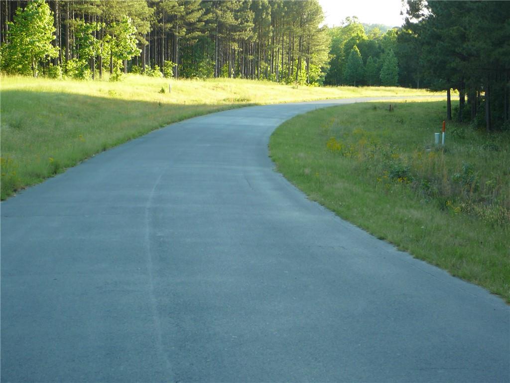 Lt 53 Waterside Point, Abbeville, South Carolina image 4