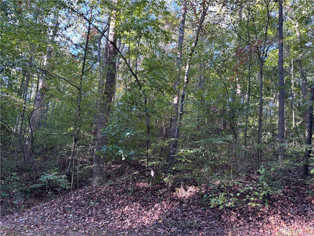 Parkview Drive, Fair Play, South Carolina image 10