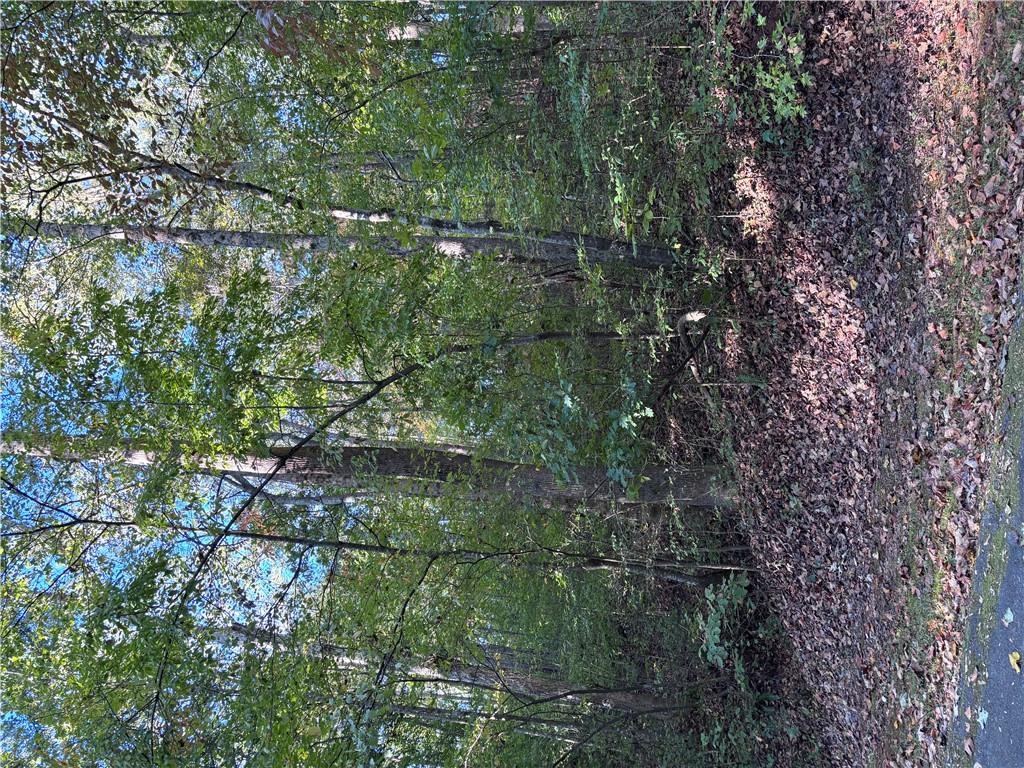 Parkview Drive, Fair Play, South Carolina image 11
