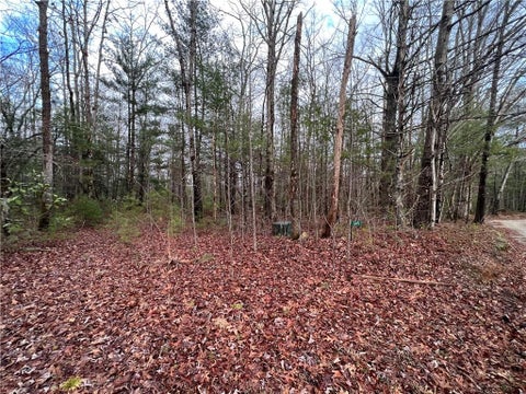 Photo for 345 Metcalfe Road