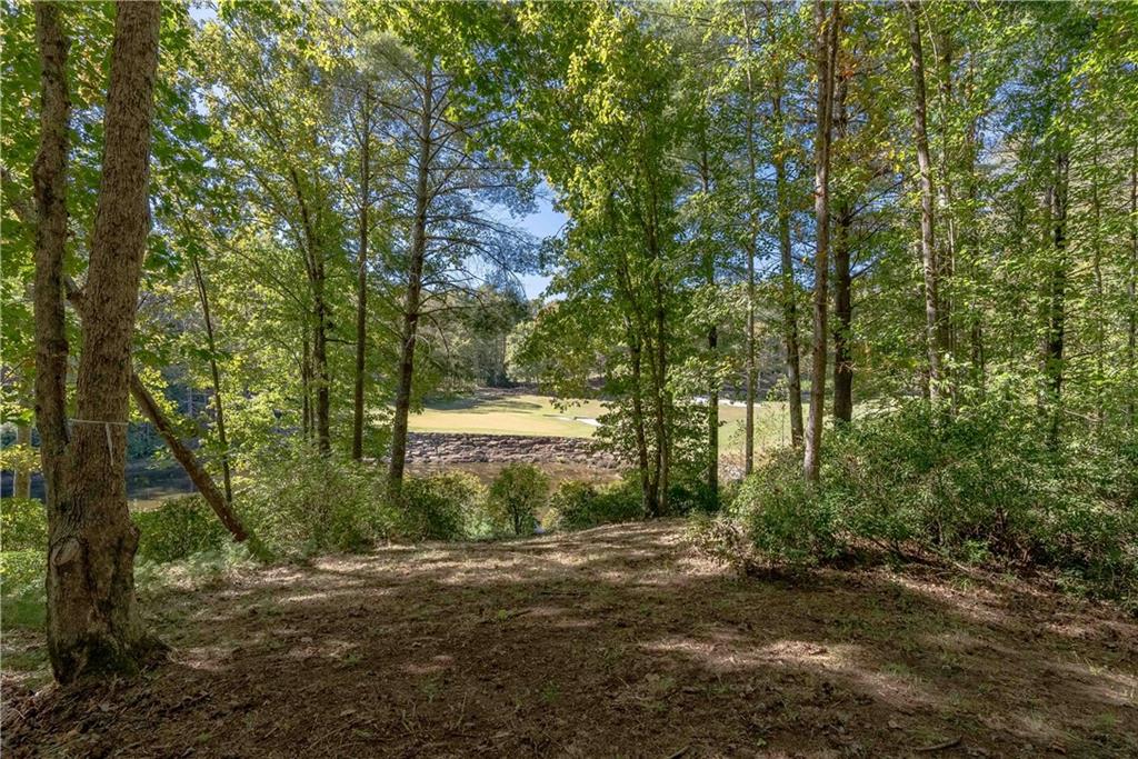 122 Club Cove Way, Sunset, South Carolina image 19