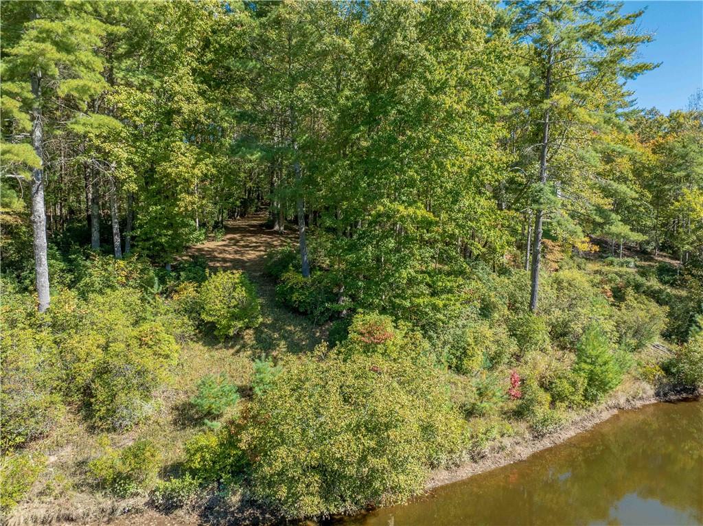 122 Club Cove Way, Sunset, South Carolina image 13